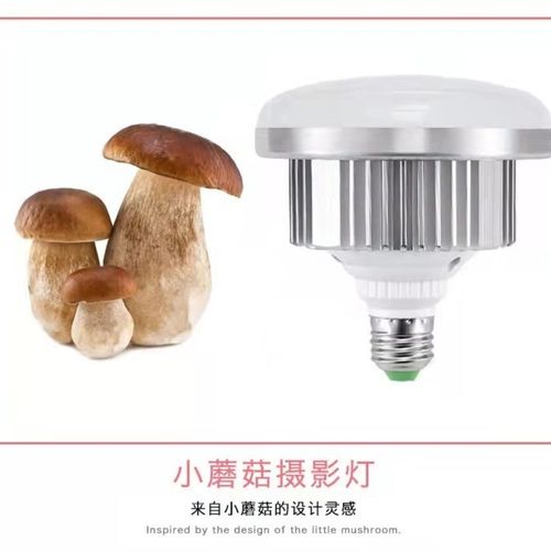 补光灯是什么灯泡