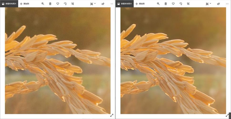 怎么提高照片的像素分辨率图2