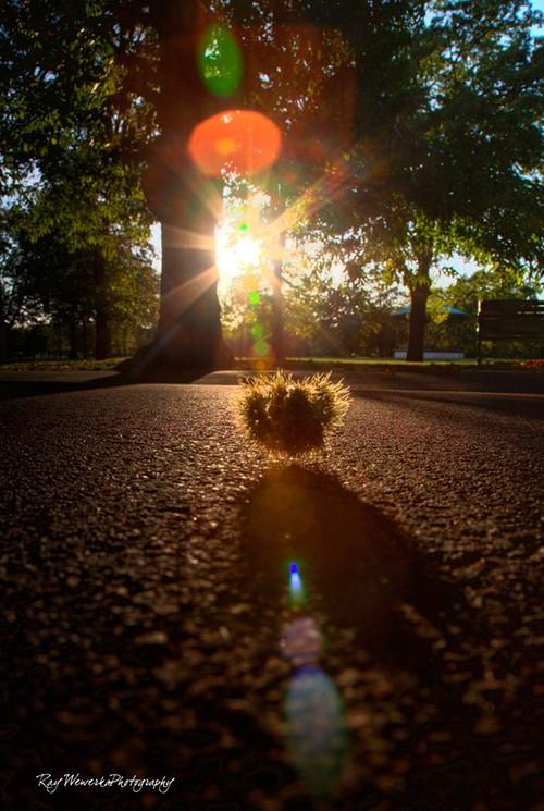 背光拍人像怎么设置图3