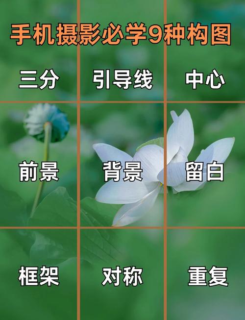 手机拍照技巧入门教程图1