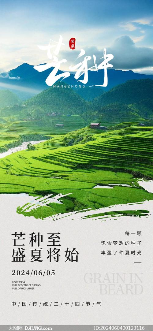 拍照背景图片素材大全图2