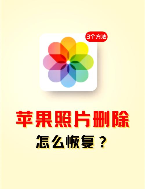 手机上的相册图标没了怎么找回来