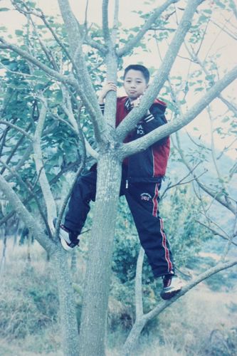 翻拍相片是什么意思图2