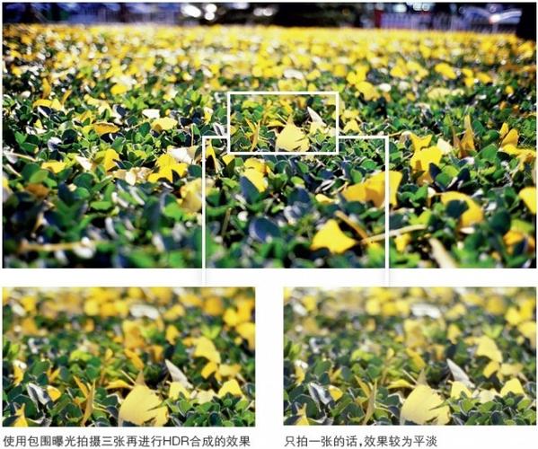 翻拍照片怎么拍好看又清晰图3