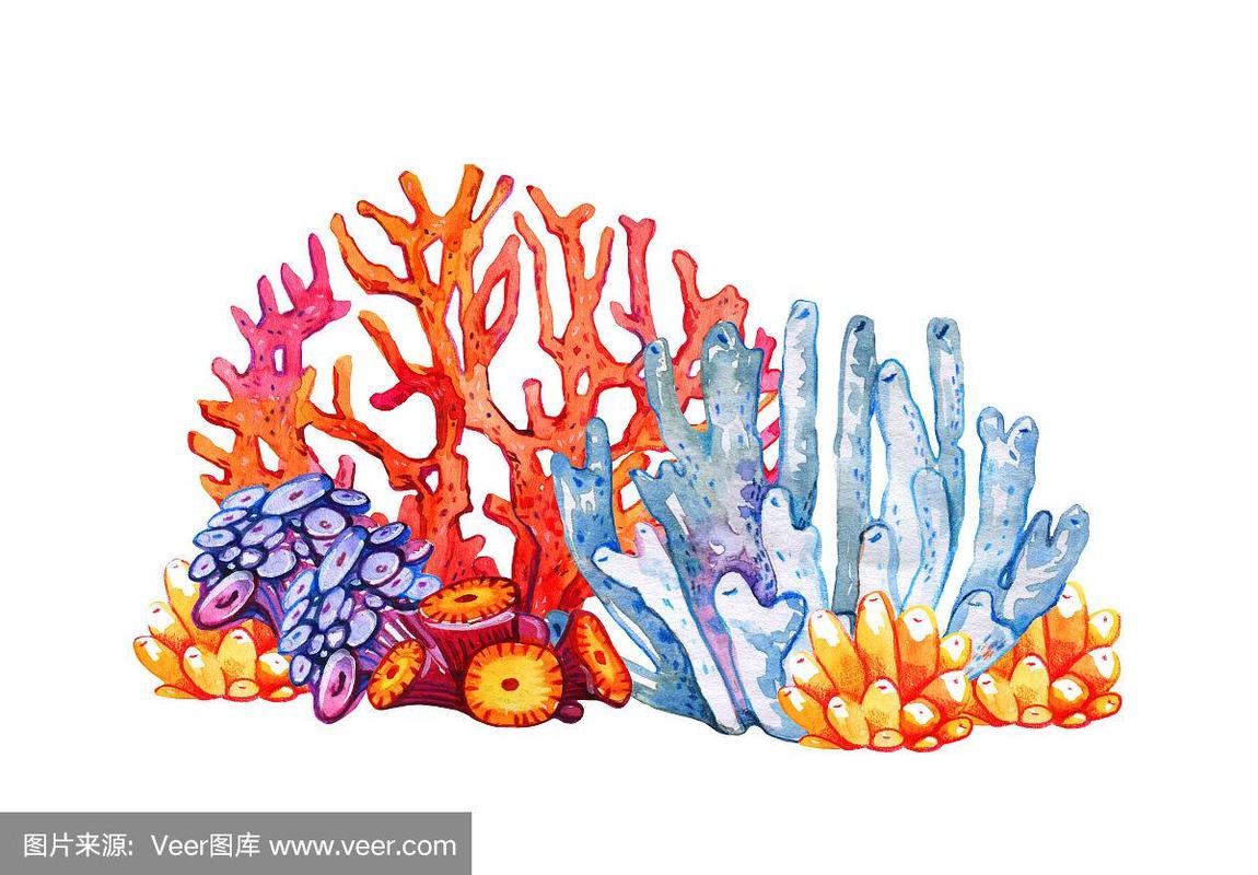 简单的珊瑚怎么画