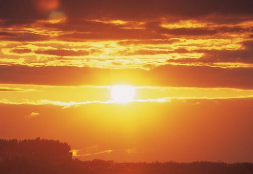 翻拍和扫描哪个好图2