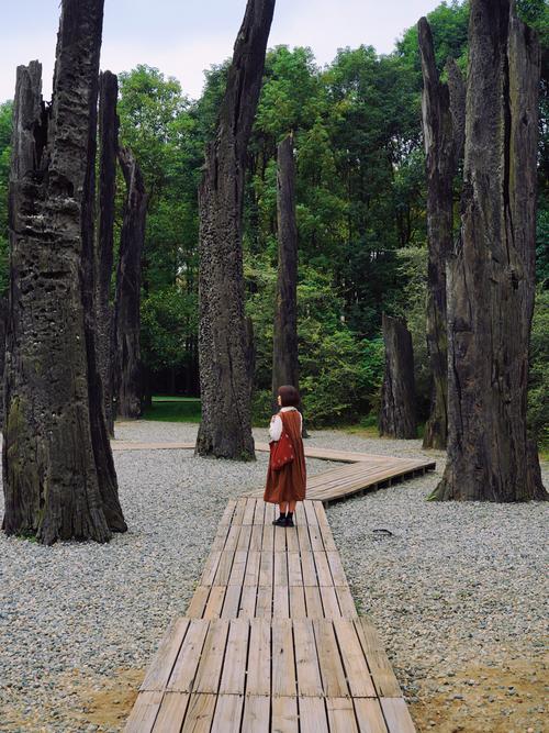 旧照片用手机相机拍下来后不清楚,怎么能弄清楚一点,仔细说说