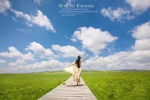 拍照打光图片纯色暖色背景图2