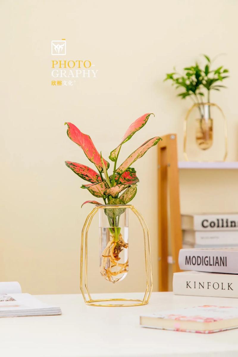 拍照打光图片纯色暖色背景图3