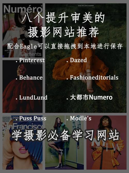 手机拍照计数免费软件有哪些图3