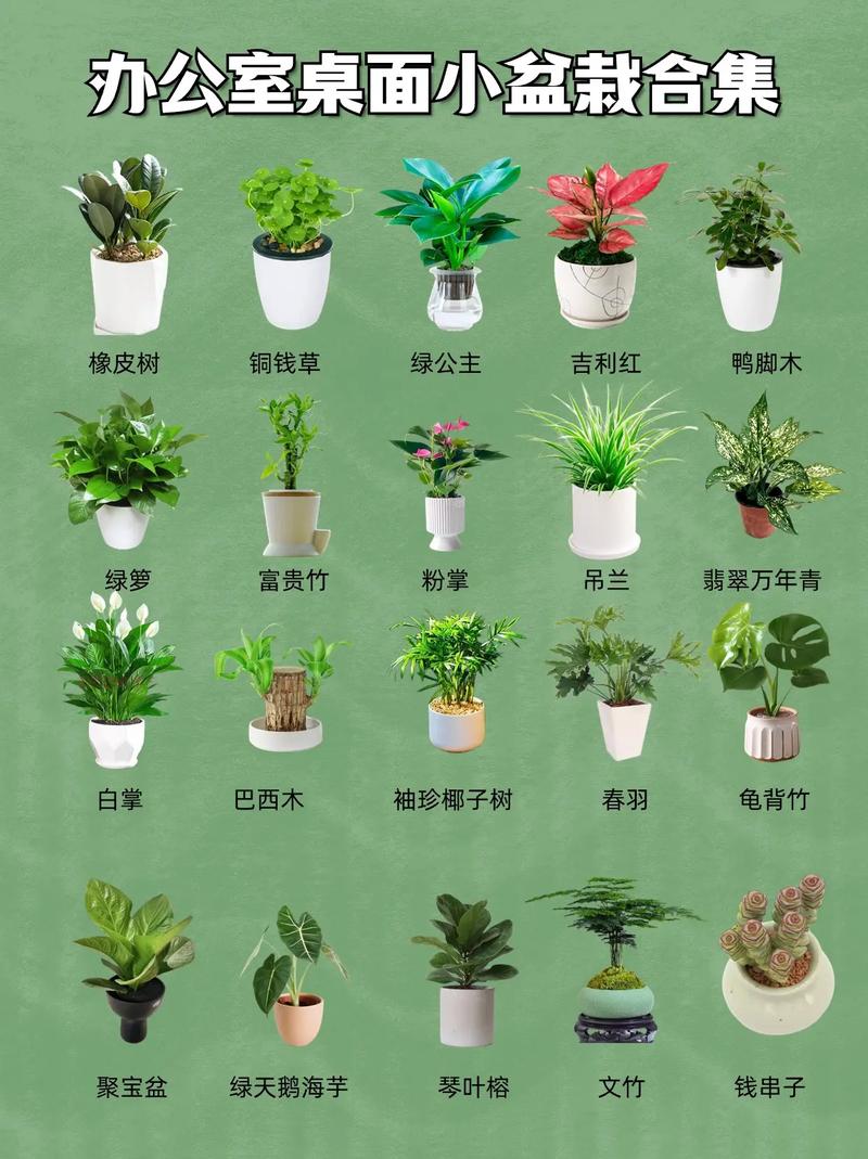 办公室会议拍照技巧与角度图片图1