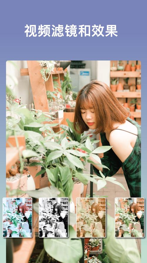 手机照片做成音乐相册模板图3