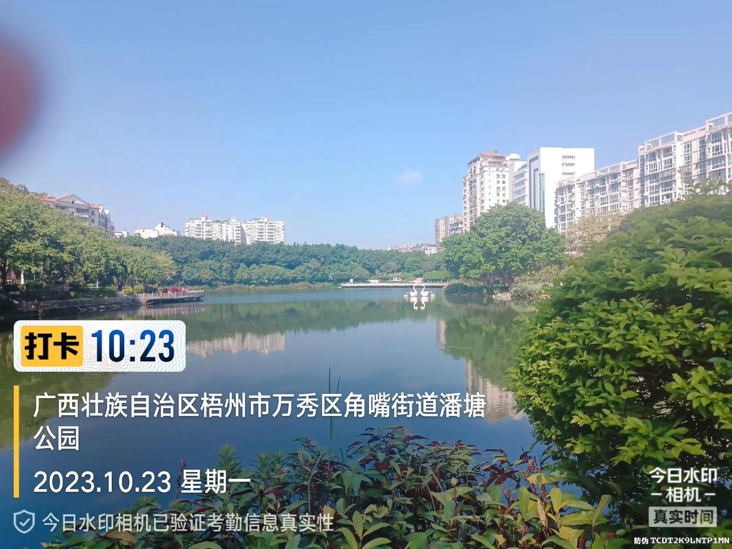 今日水印拍照同步图1
