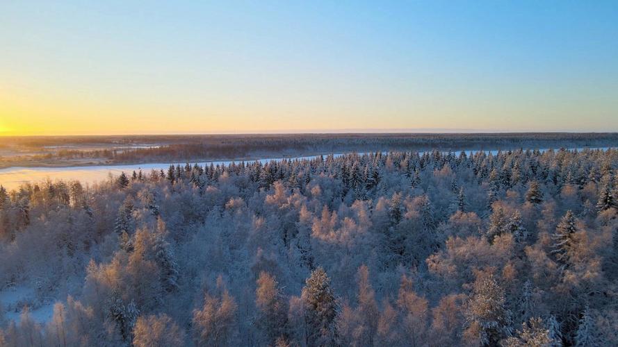 不可以翻拍照片是什么意思图3