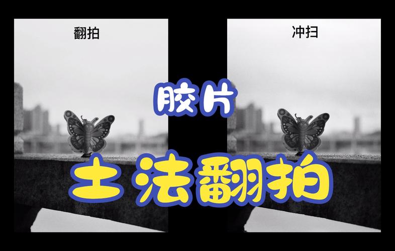 照相翻拍是什么图2