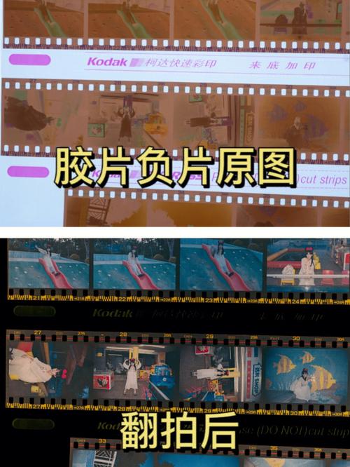 不能翻拍照片图3