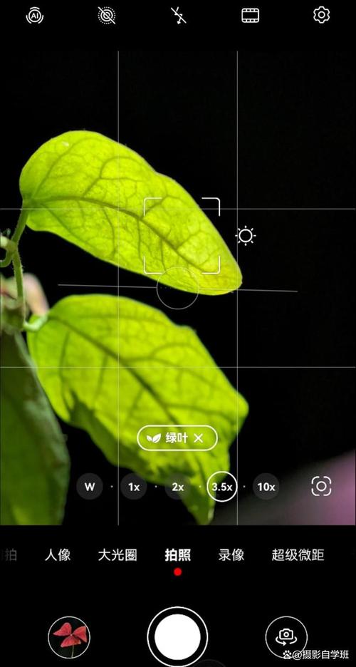 翻拍照片怎么拍好看点图3
