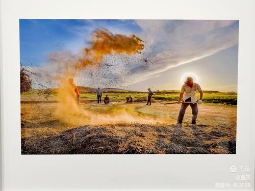 怎样能把照片翻拍出最佳效果