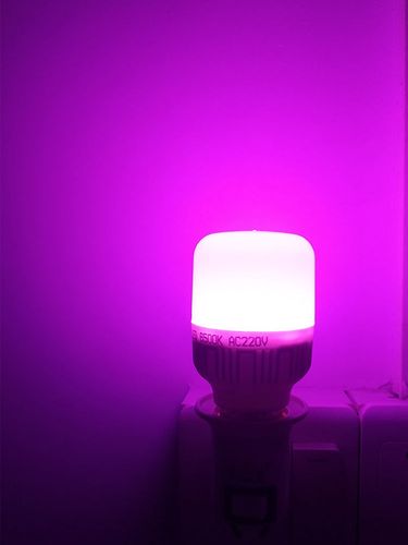 紫色拍照灯光图1