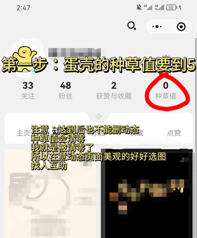 图片合成视频的手机软件图3