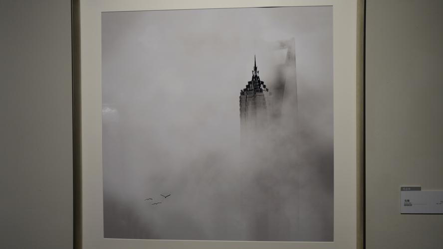 什么叫照片翻拍软件图2