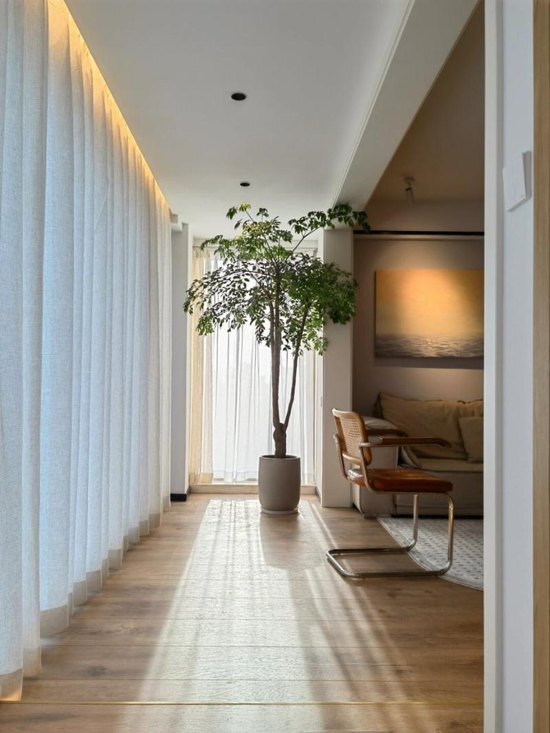 什么样的光线拍照好看图2