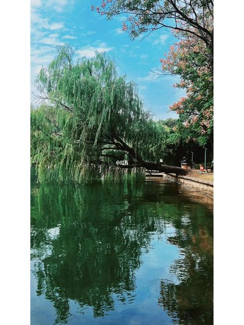 什么样的光线拍照好看图3