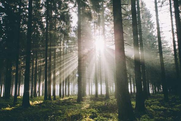 拍照最好的光线