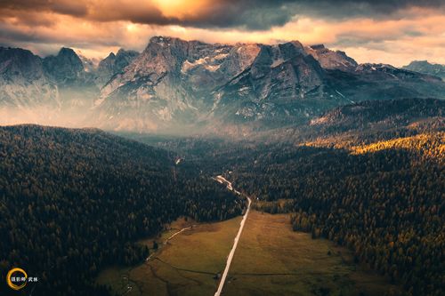 自然的呼唤--龙之回归