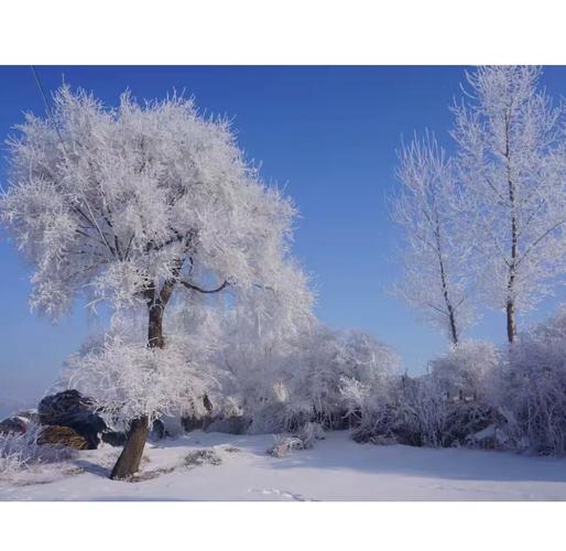 吉林市雾凇岛一日游攻略