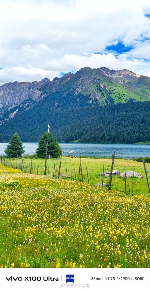 拍照最好的手机排行