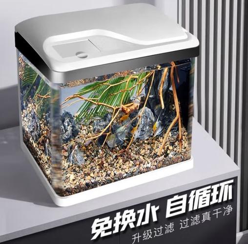 养鱼达人分享丨水族箱补光重要性