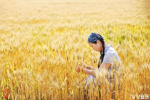 ps合成麦田女孩桌面图片