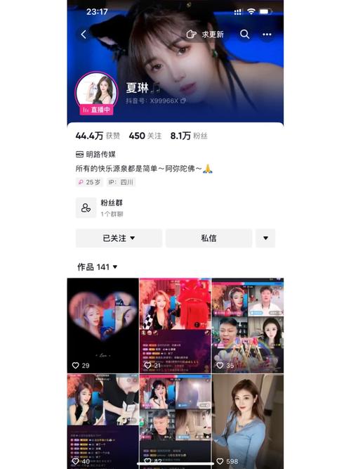 什么是视频翻拍作弊