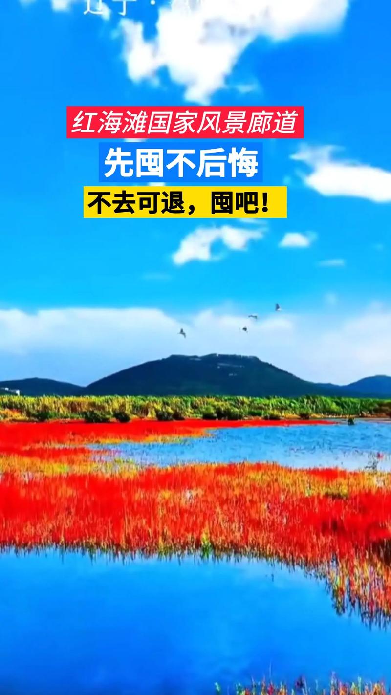 去红海滩风景廊道景区游玩,有哪些拍照技巧分享?