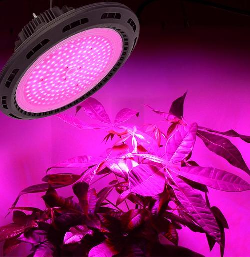 补光灯对植物有作用吗