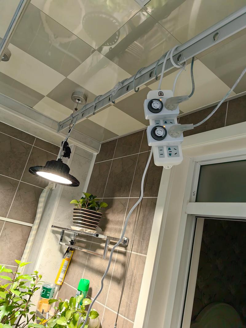 植物补光灯有效果吗?