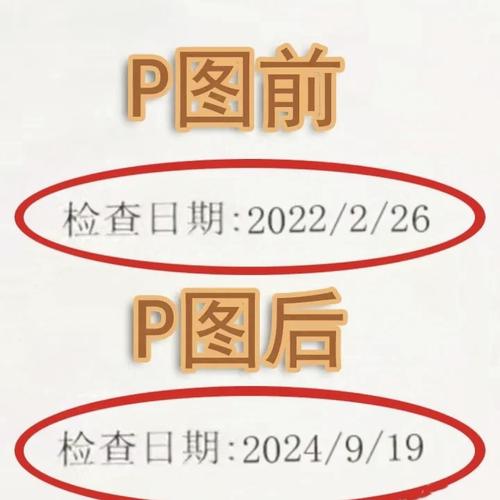 修改日期的p图软件