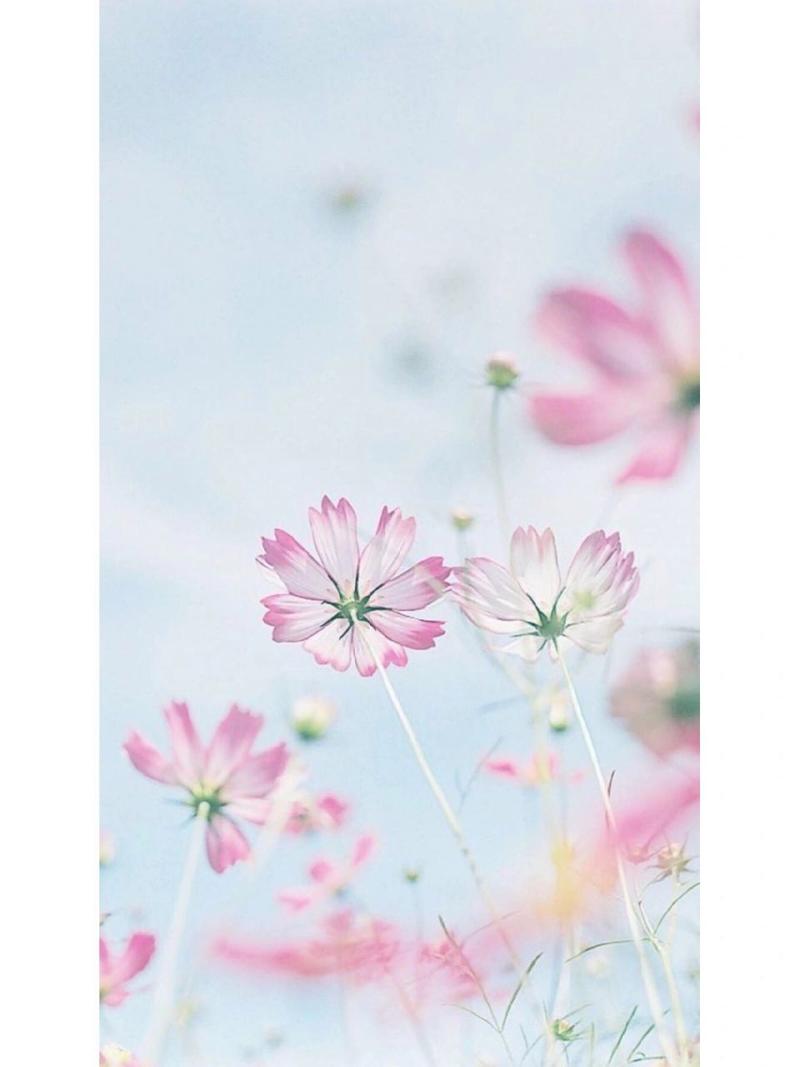 拍照背景图软件推荐免费图3