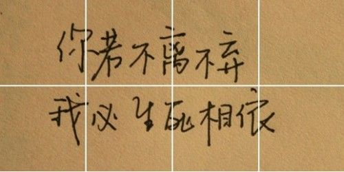 照片背景墙图片素材图2