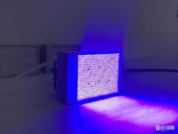 紫外固化灯哪家好