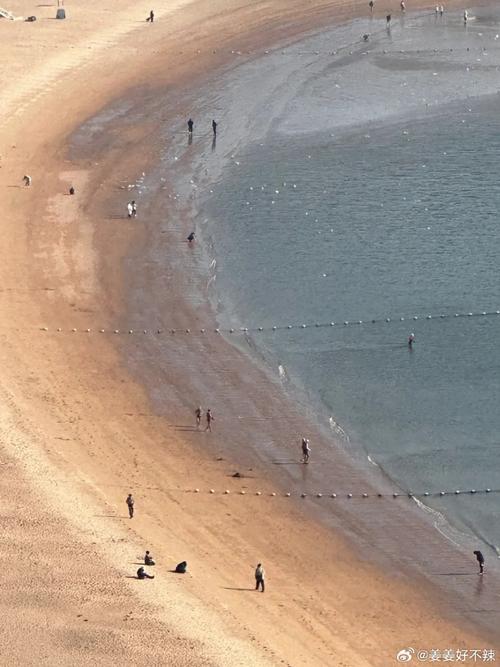 拍照效果最好的手机是哪一款手机?图1