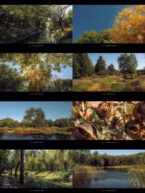 提高照片像素的方法是什么图2