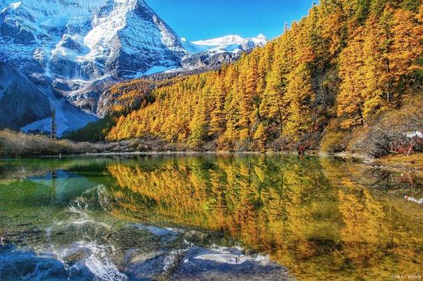 十个简单站立拍照姿势小学生图3