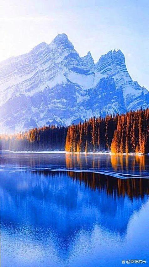 拍照好看的手机推荐排行榜