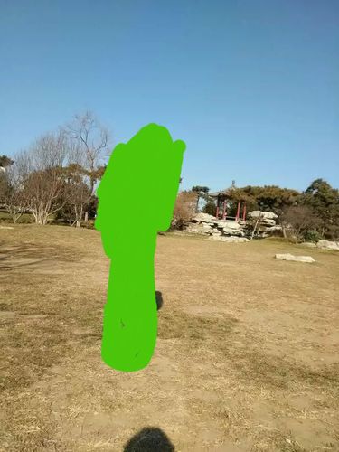 求大神告知这个图片出处