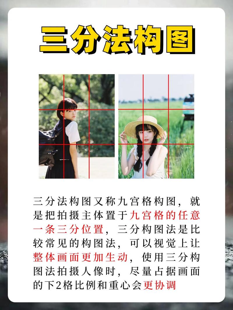 摄影构图的基本原则是什么?