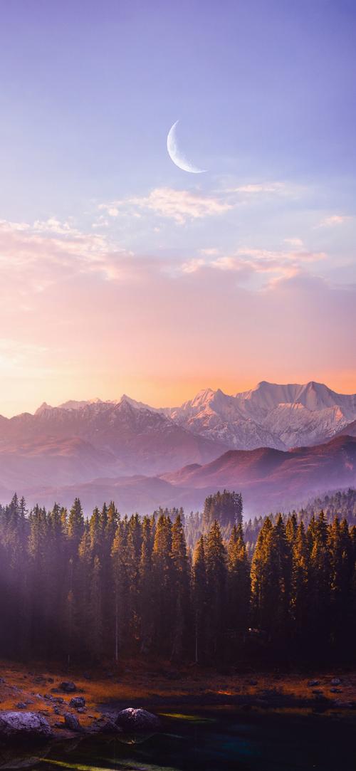 拍照手机哪个好推荐一下图3