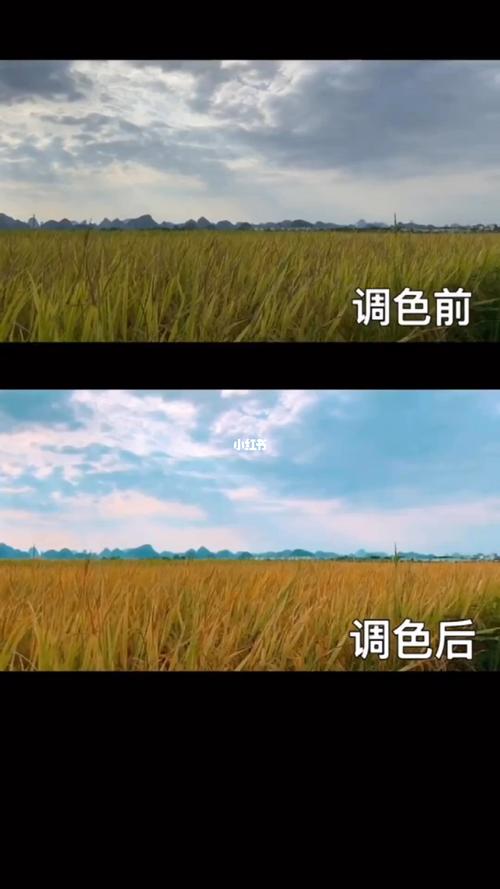 怎样让手机拍的照片上显示日期