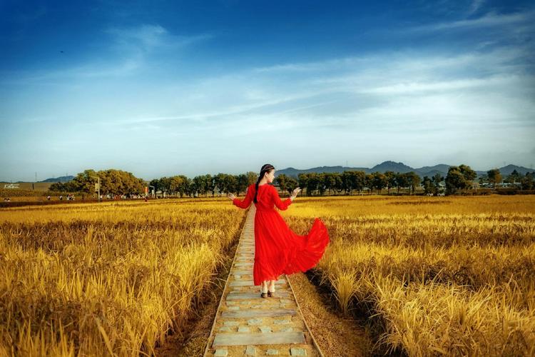 稻田拍照姿势大全图解图1